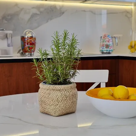 New!!! 2024 Marea With Xxl Sunny Terrace Appartement *