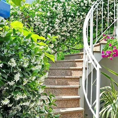 New!!! 2024 Marea With Xxl Sunny Terrace