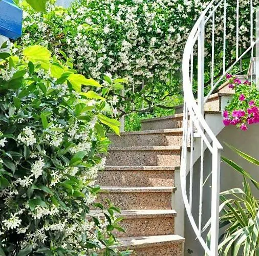 New!!! 2024 Marea With Xxl Sunny Terrace