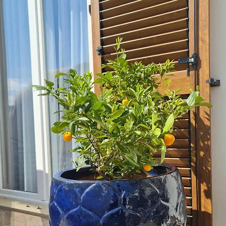 New!!! 2024 Marea With Xxl Sunny Terrace דירה פורץ