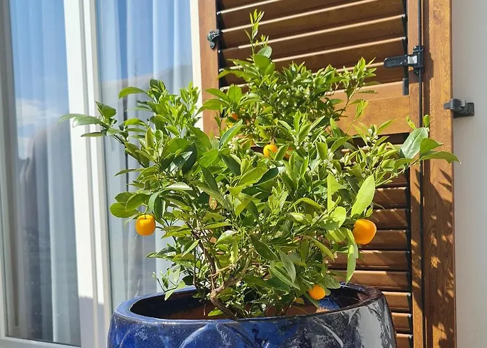 New!!! 2024 Marea With Xxl Sunny Terrace Апартаменти Пореч